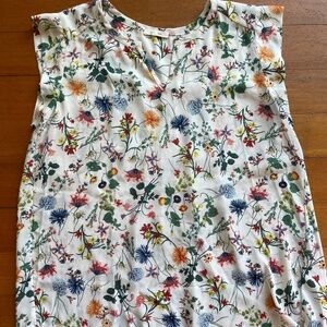 Pleione Floral Chiffone Blouse